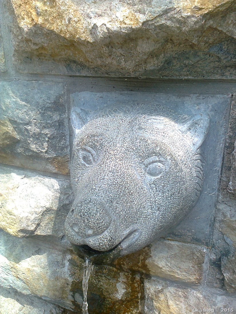 Φωτογραφία1057