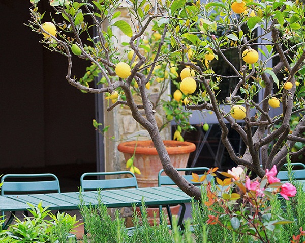 Phillys Interior Design via Homify