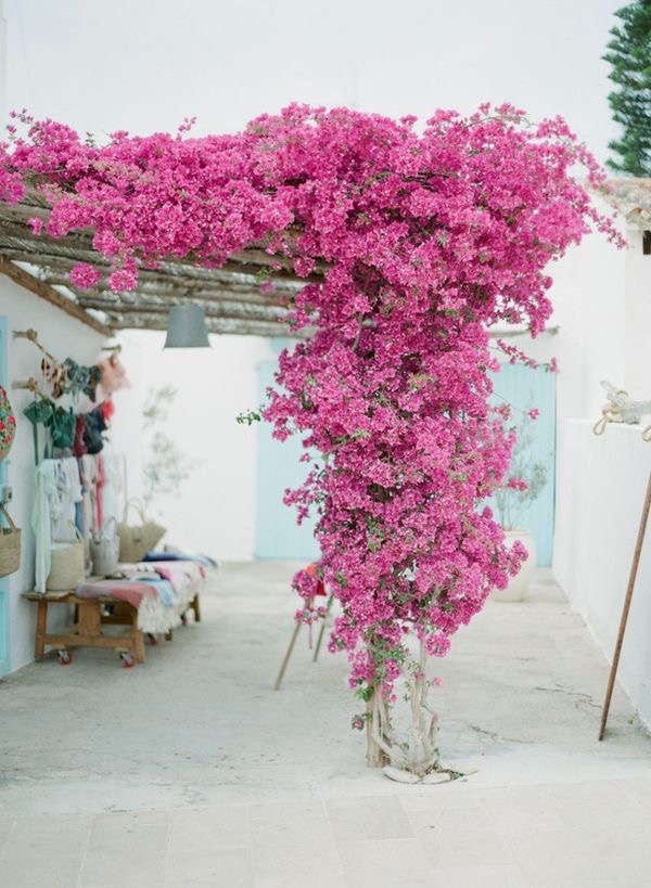 Decor Interiors and more! , {.k.} blog, inspiration, travel, summer, colorful, colors, Greece, pink, Mykonos, Crete, flowers, outdoor