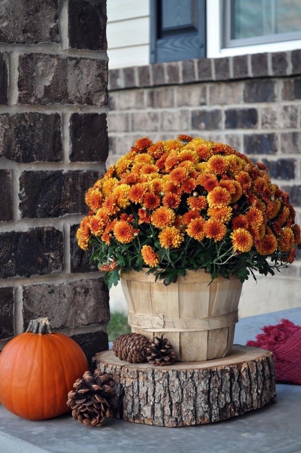 Fall, autumn, garden, decor, blogging, blog, post, decor interiors and more, kblog, φθινώπορο, κήπος