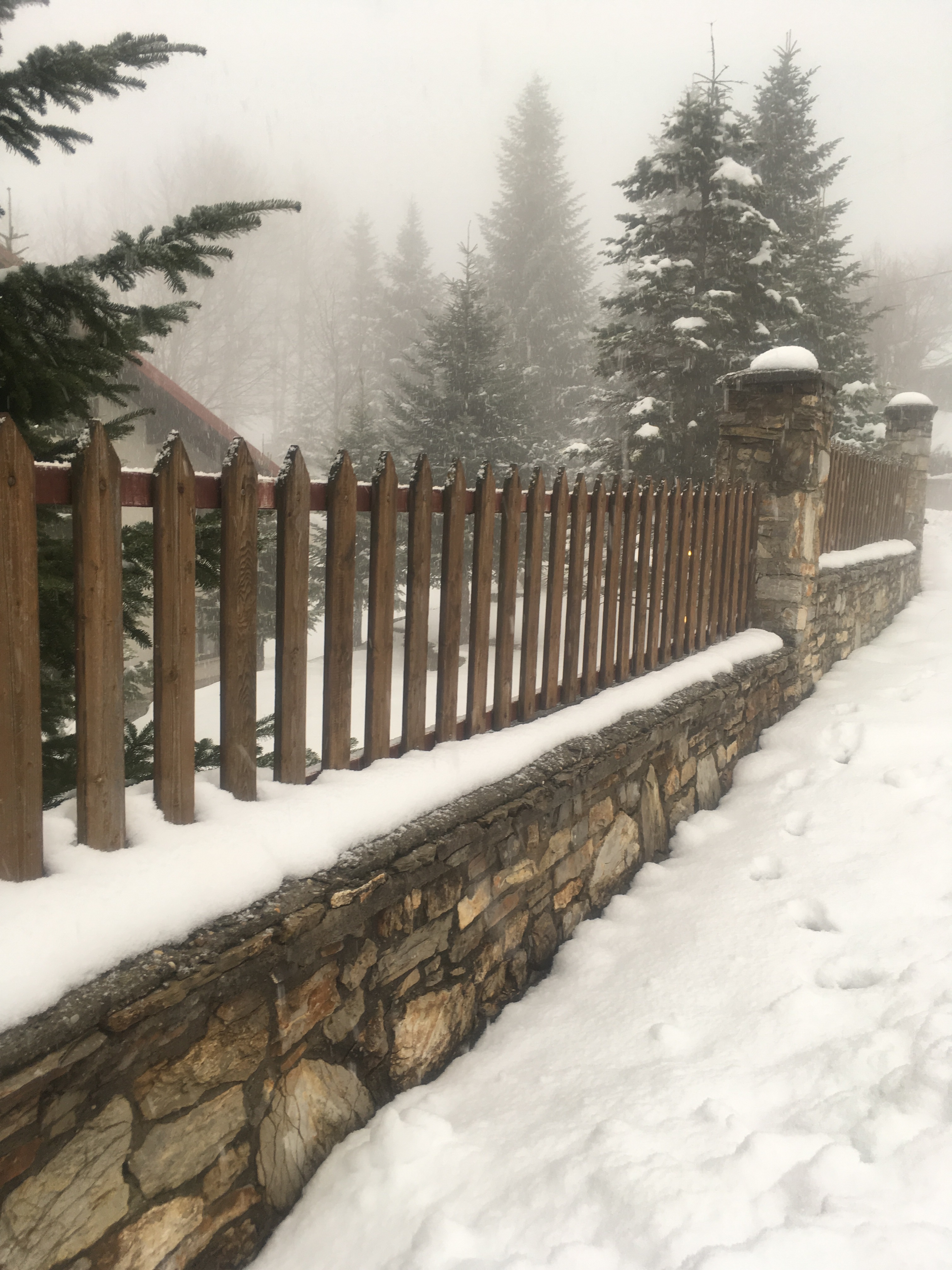 Decor Interiors & more! 