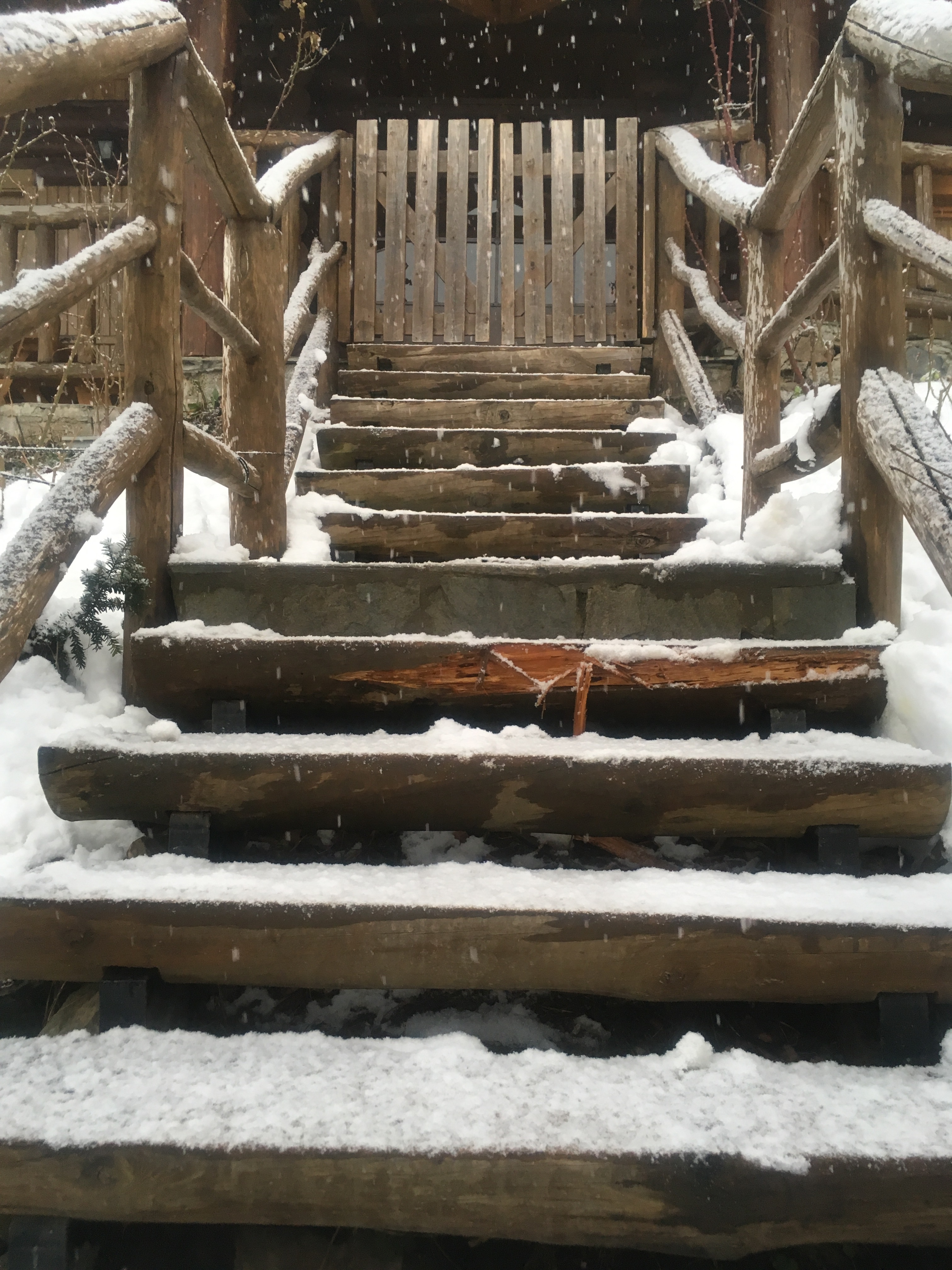 Decor Interiors & more! 