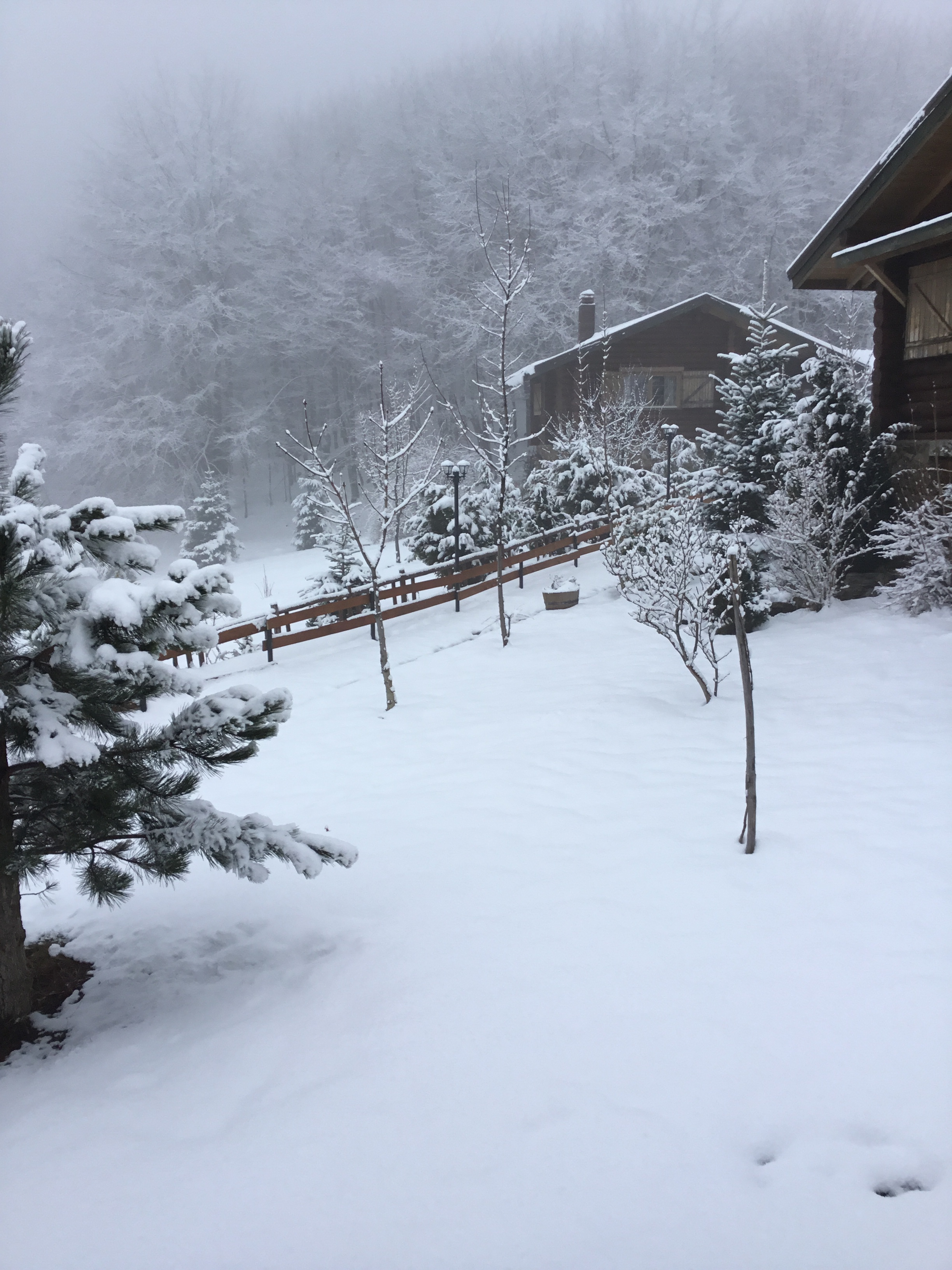 Decor Interiors & more! 