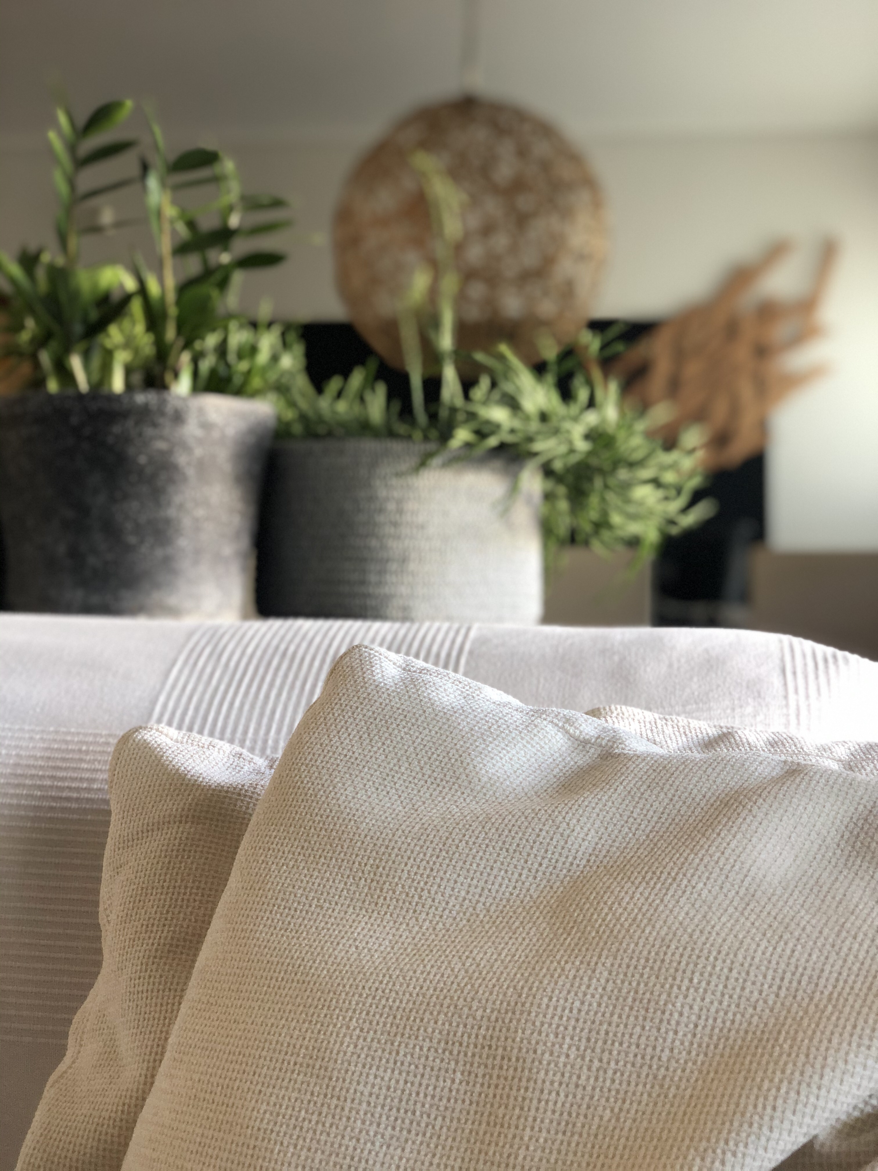 Decor Interiors & more! 