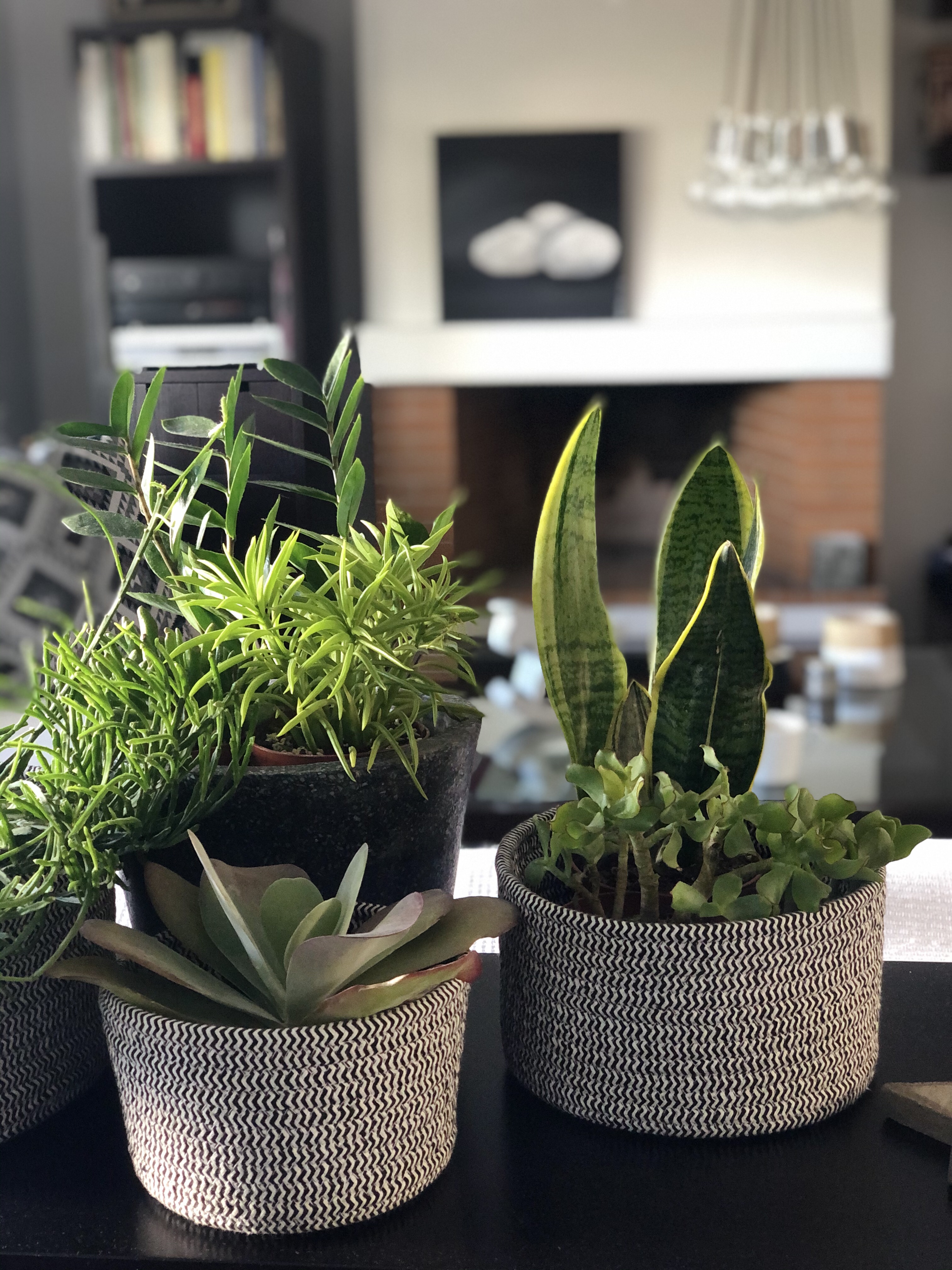 Decor Interiors & more! 