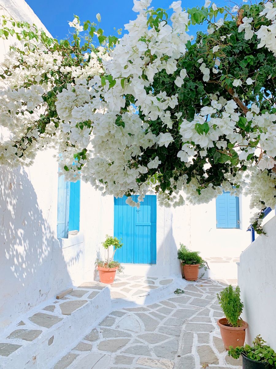 Summer trip: Greece